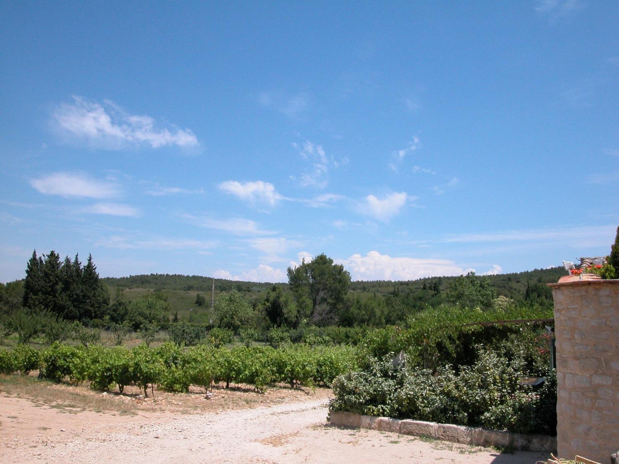 Le Mazet De La Dame Bed & Breakfast Barbentane Exterior photo